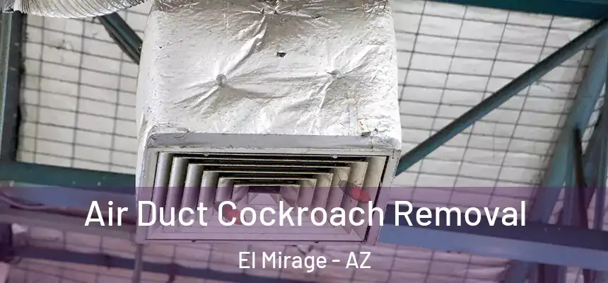 Air Duct Cockroach Removal El Mirage - AZ