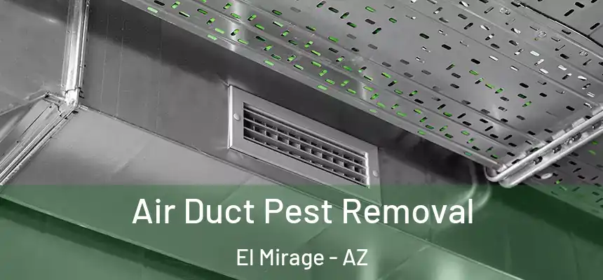  Air Duct Pest Removal El Mirage - AZ