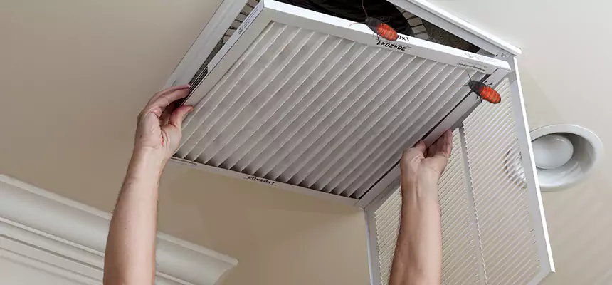 Preventive Cockroach-Proofing for Ducts in El Mirage