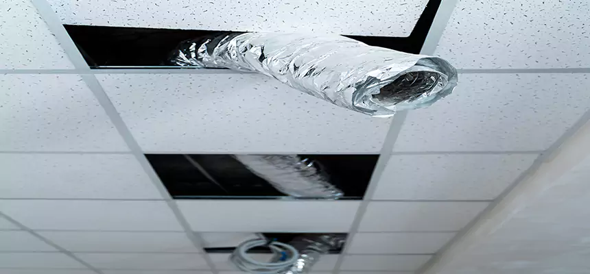 Affordable HVAC Sanitizing After Pest Removal in El Mirage