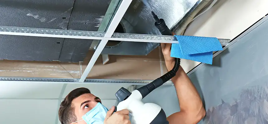 Our Air Duct Rodent Removal Services in El Mirage, AZ