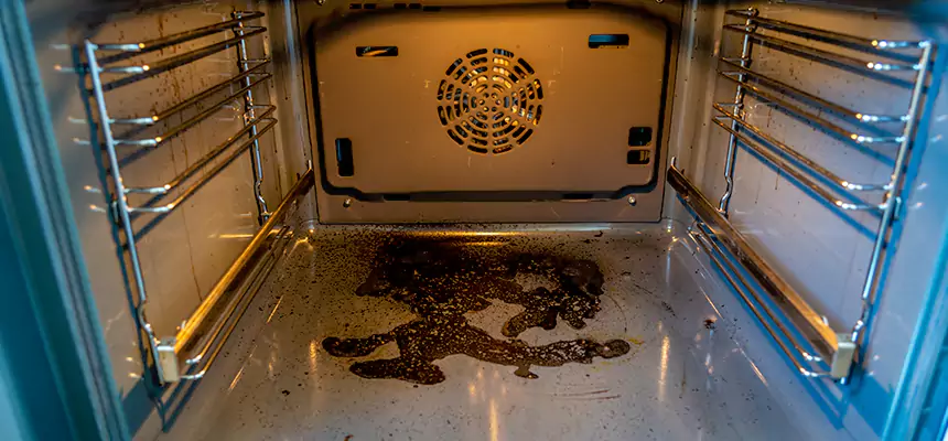 Our Dryer Vent Mold Cleaning Services in El Mirage, AZ