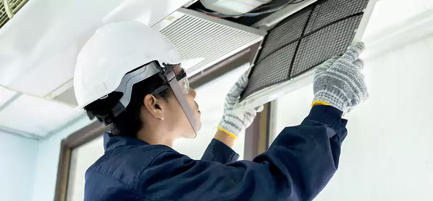 Our Mold & Mildew Removal from Air Ducts Services in El Mirage, AZ