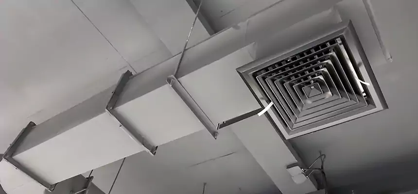 Our Pest Removal From Ducts Services in El Mirage, AZ