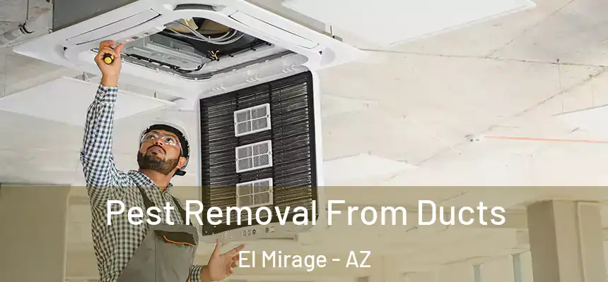  Pest Removal From Ducts El Mirage - AZ