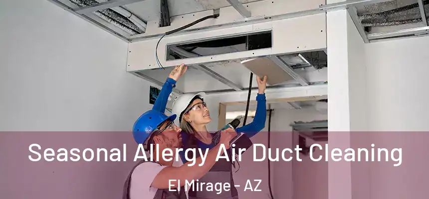  Seasonal Allergy Air Duct Cleaning El Mirage - AZ