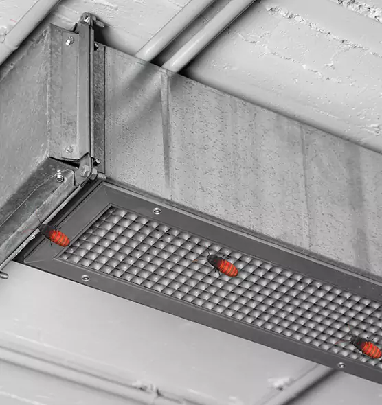 About Air Duct Cockroach Removal in El Mirage, AZ