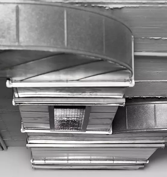 Professional Air Duct Pest Removal in El Mirage, AZ