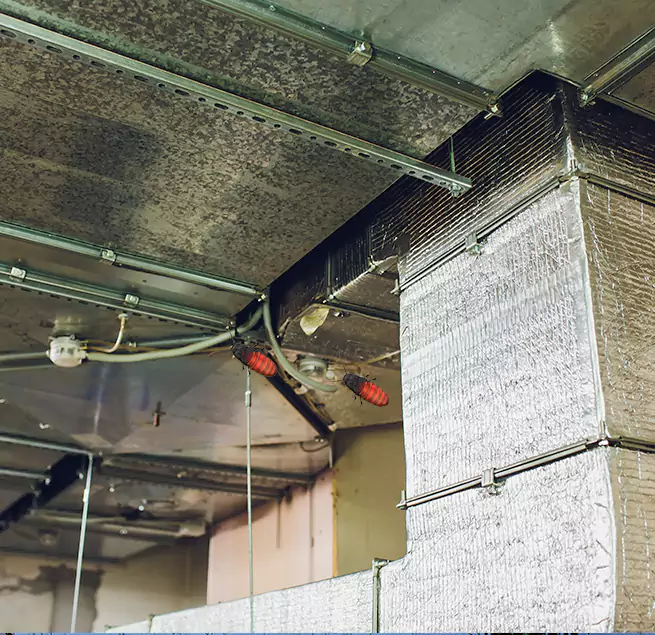 Why Homeowners & Businesses Trust Us in El Mirage, AZ?