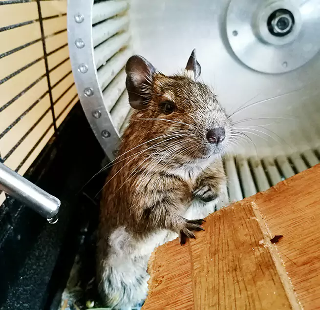 Why Homeowners & Businesses Trust Us El Mirage, AZ