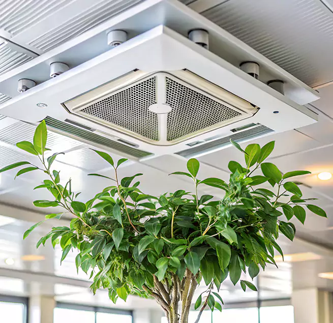 Why Homeowners & Businesses Trust Us in El Mirage, AZ?