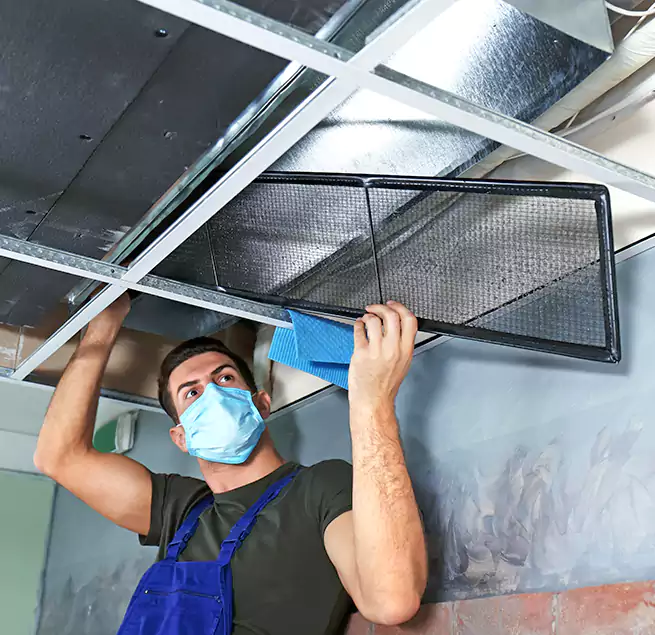 Why Homeowners Businesses Trust Us in El Mirage, AZ